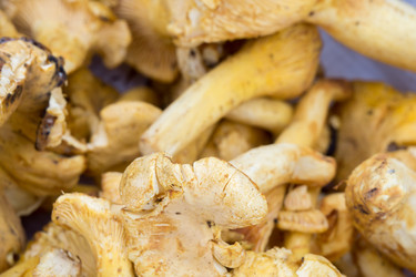 Similar image 9946665