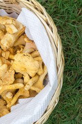 Similar image 9946669