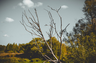 Similar image 9946680