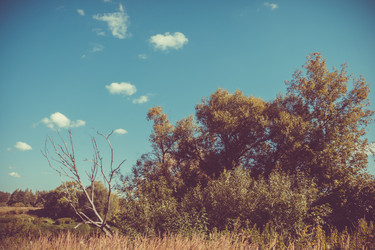 Similar image 9946683