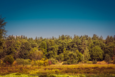 Similar image 9946686