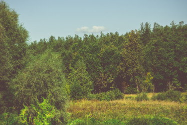 Similar image 9946749