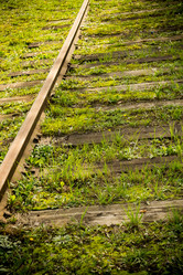 Similar image 9946752