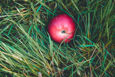 Similar image 9946757