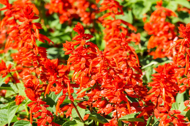 Similar image 9946768