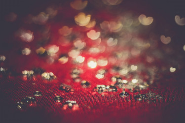 Similar image 9946779