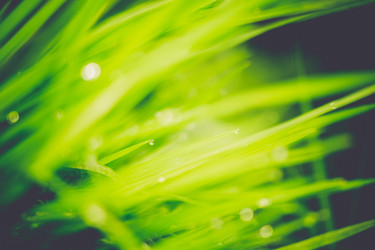 Similar image 9946863