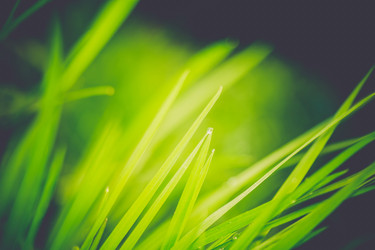 Similar image 9946865