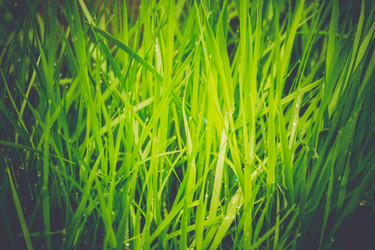 Similar image 9946869