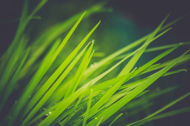 Similar image 9946871