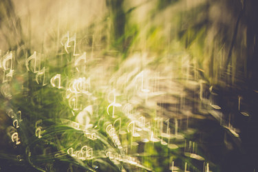 Similar image 9946875