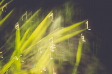 Similar image 9946877