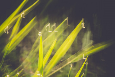 Similar image 9946879