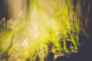 Similar image 9946883