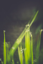 Similar image 9946885