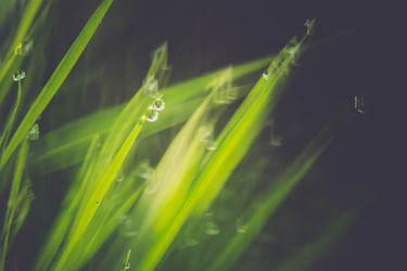 Similar image 9946887