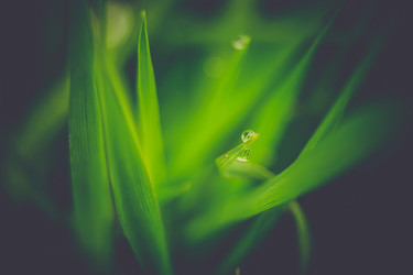 Similar image 9946894