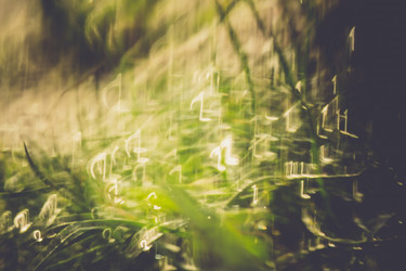 Similar image 9946898