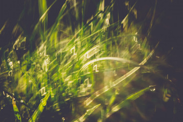 Similar image 9946900