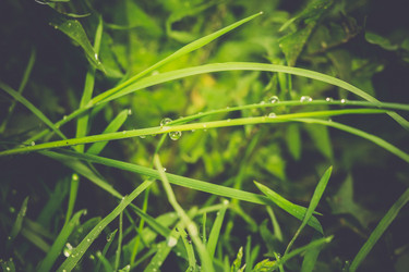 Similar image 9946902