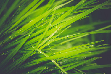 Similar image 9946907