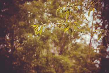 Similar image 9946908