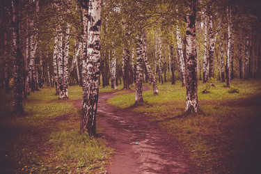 Similar image 9946912