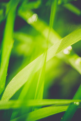 Similar image 9946915