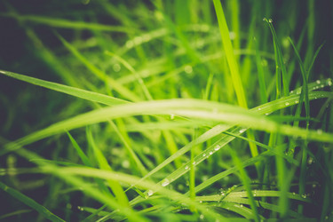 Similar image 9946916