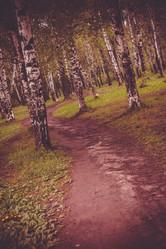 Similar image 9946922