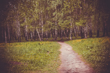 Similar image 9946924