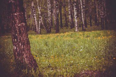 Similar image 9946929