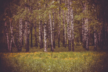 Similar image 9946931