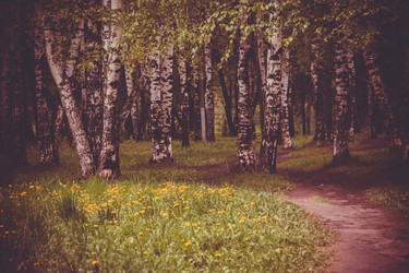 Similar image 9946940