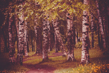 Similar image 9946942