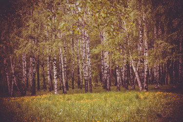 Similar image 9946944