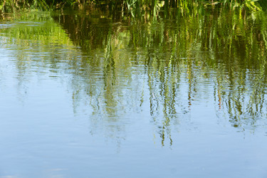 Similar image 9946958