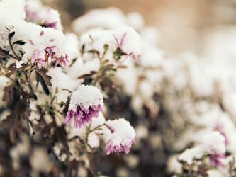 Similar image 9947035