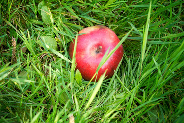 Similar image 9947082