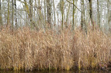 Similar image 9950406