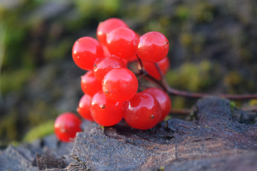 Similar image 9950409