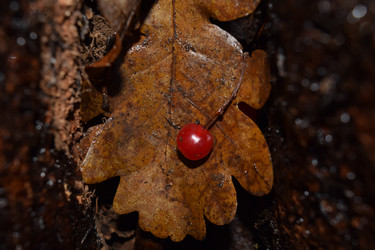 Similar image 9950420