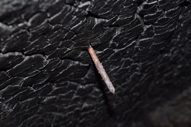 Similar image 9951157