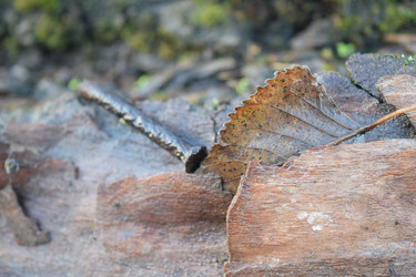 Similar image 9951158