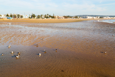 Similar image 9960415