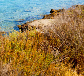 Similar image 9960579