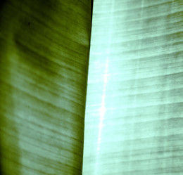 Similar image 9961086