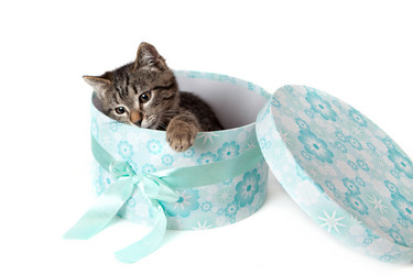 Similar image 10434982