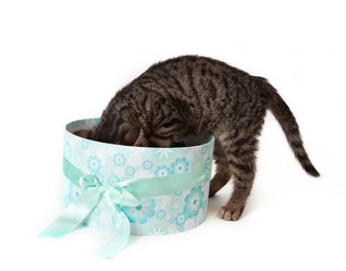 Similar image 10434984