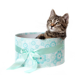 Similar image 10434987